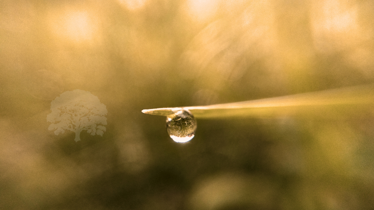 IV Drip Therapy New Orleans: Reclaim Your Energy, Immunity, and Radiance